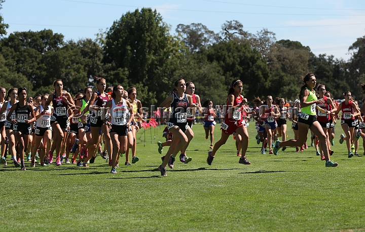 2015SIxcHSD2-111.JPG - 2015 Stanford Cross Country Invitational, September 26, Stanford Golf Course, Stanford, California.